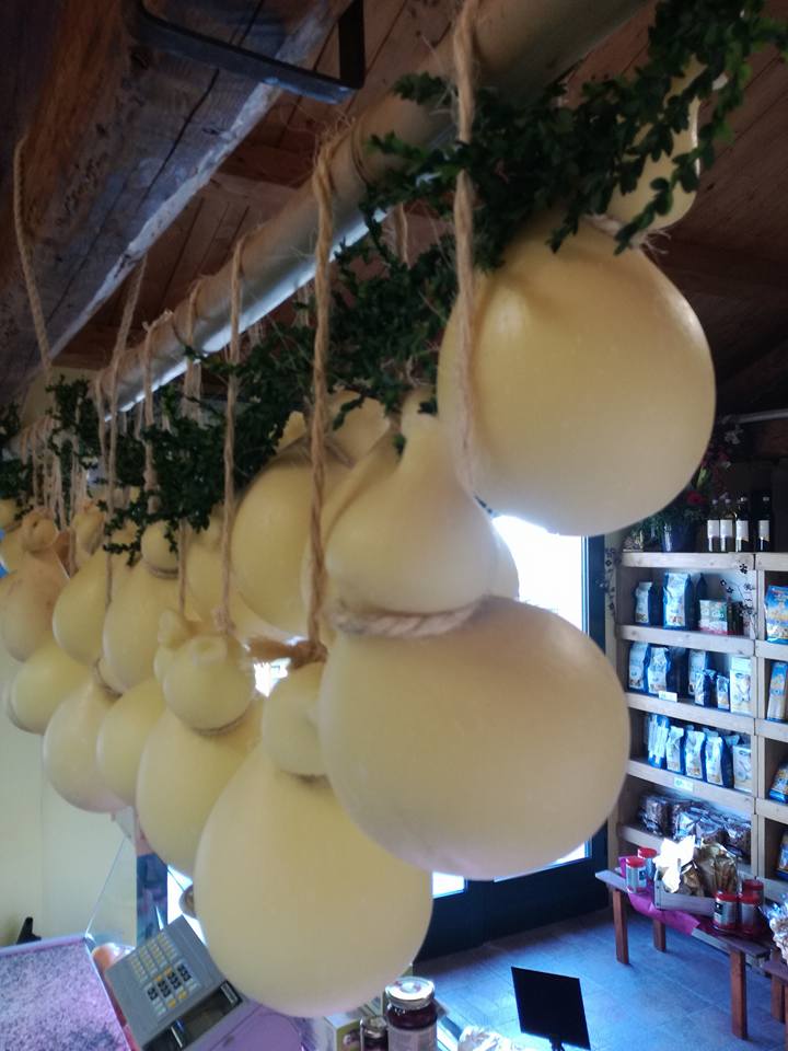 trekking-wandern-gardasee-lake-garda