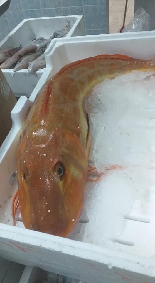 trekking-wandern-gardasee-lake-garda