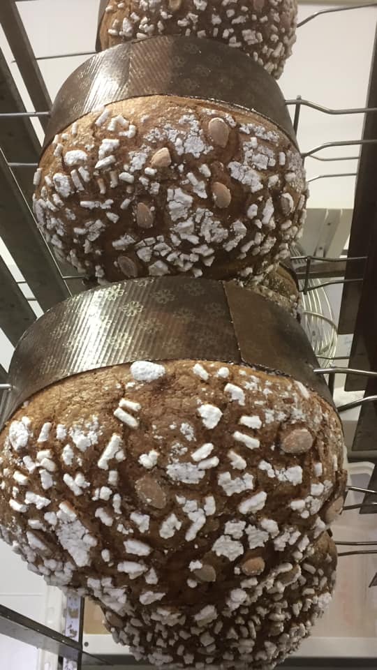 trekking-wandern-gardasee-lake-garda