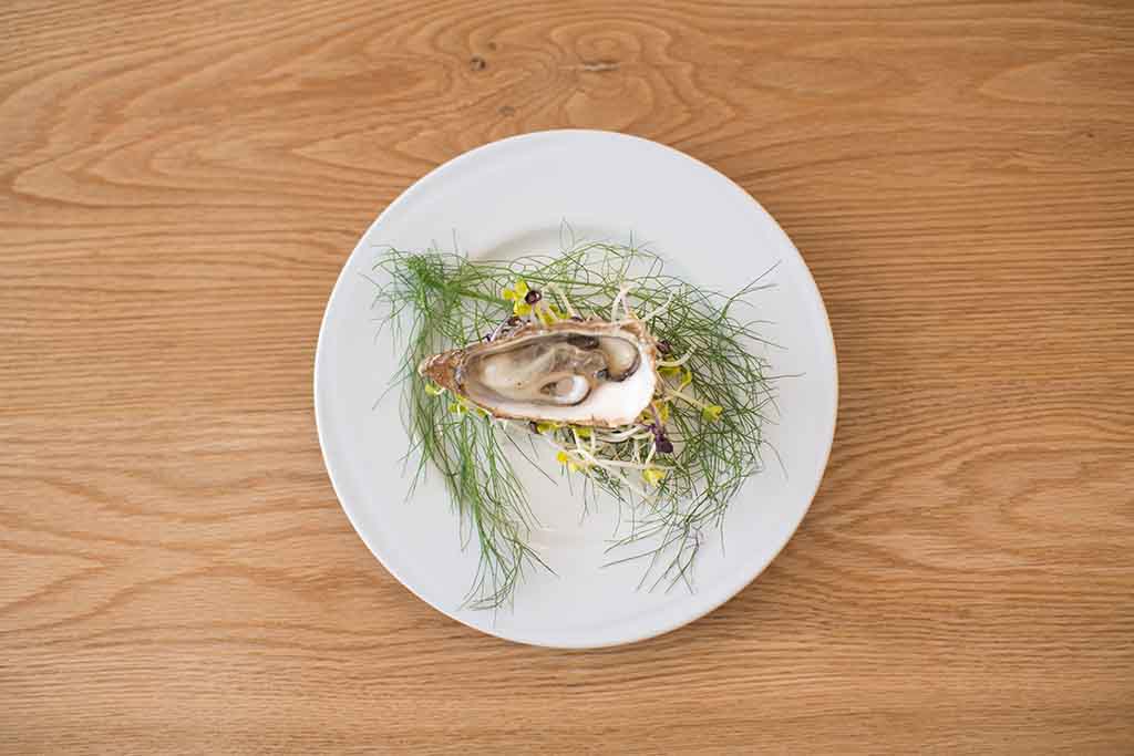 trekking-wandern-gardasee-lake-garda